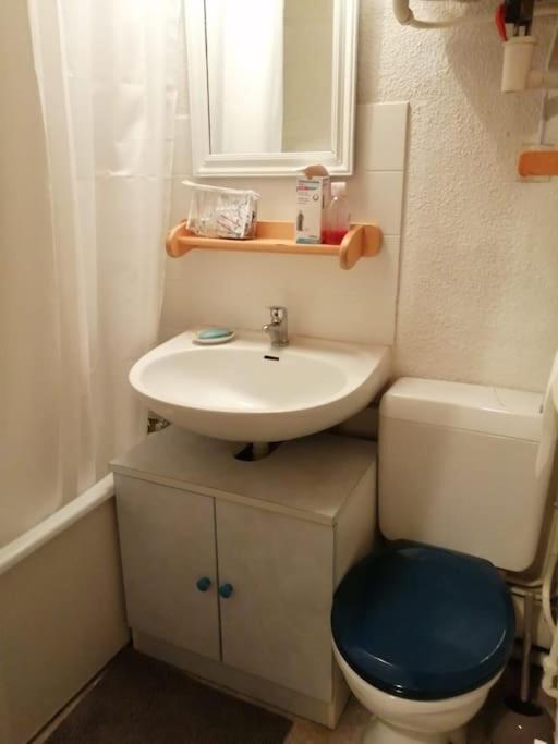 Appartement Montagne La Vallee Verte Coeur Station Hirmentaz Bellevaux Ngoại thất bức ảnh