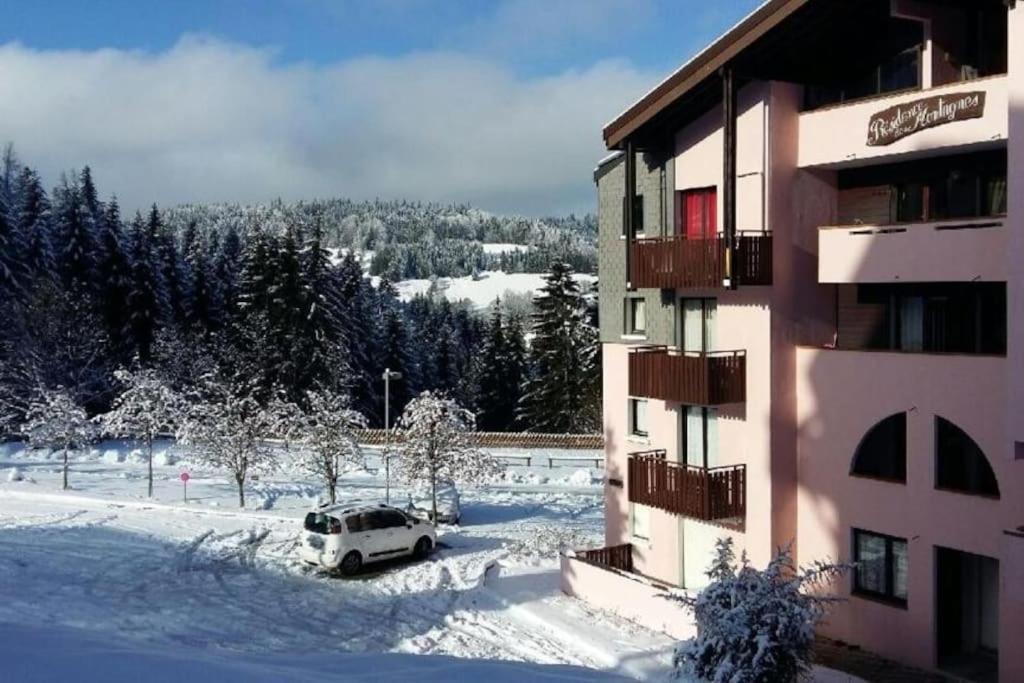 Appartement Montagne La Vallee Verte Coeur Station Hirmentaz Bellevaux Ngoại thất bức ảnh
